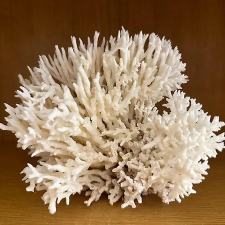 Apartment Anna Dьne 3-45 - Bester Meerblick In Bester Lage *