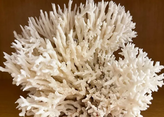 Apartmán Anna Dьne 3-45 - Bester Meerblick In Bester Lage *