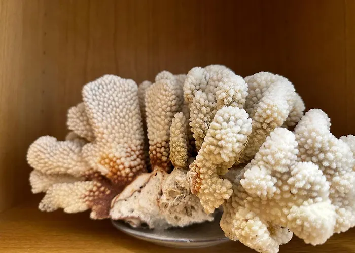 Anna Dьne 3-45 - Bester Meerblick In Bester Lage * Wangerooge